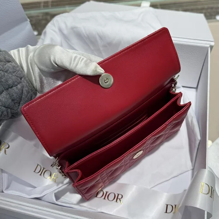 dior parisian