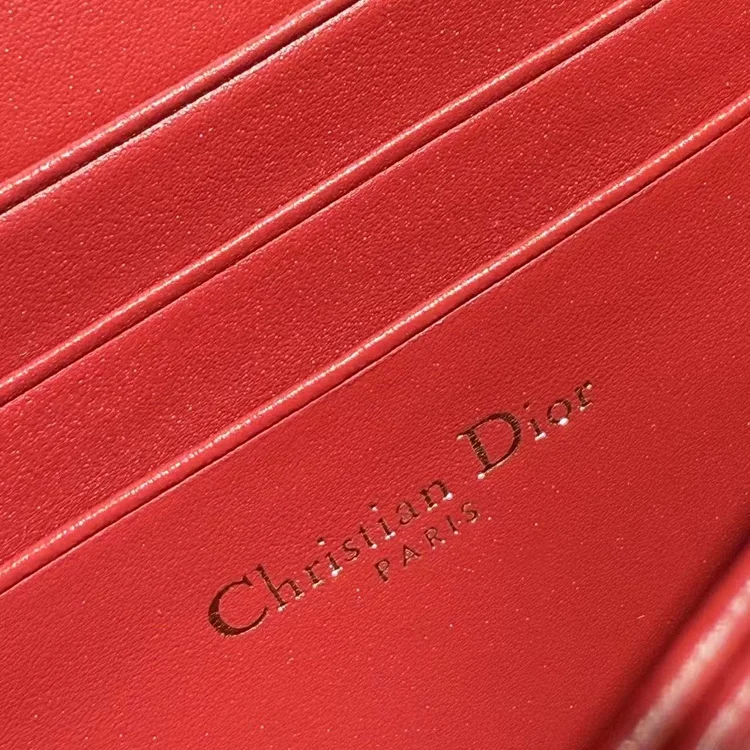 dior parisian