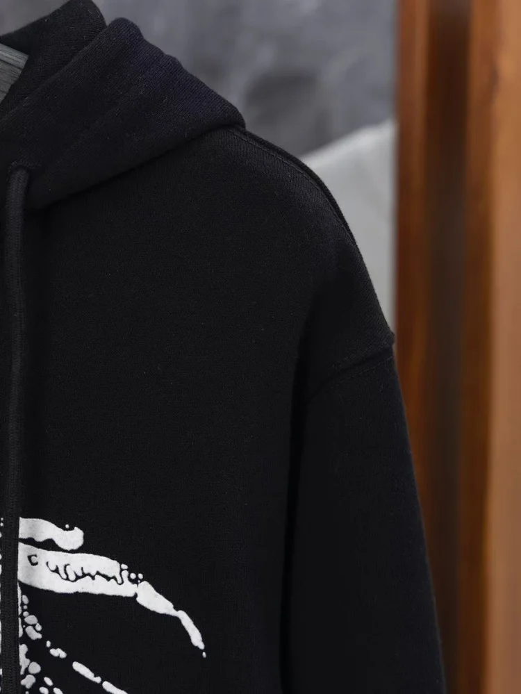 burberry hooded sweatshirt