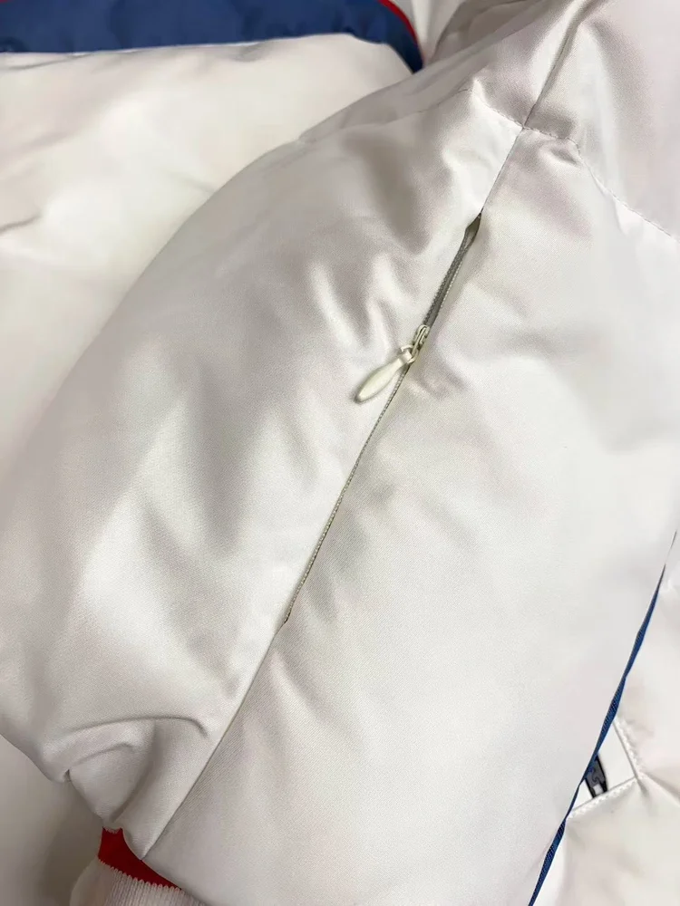 dior alps hooded jacket