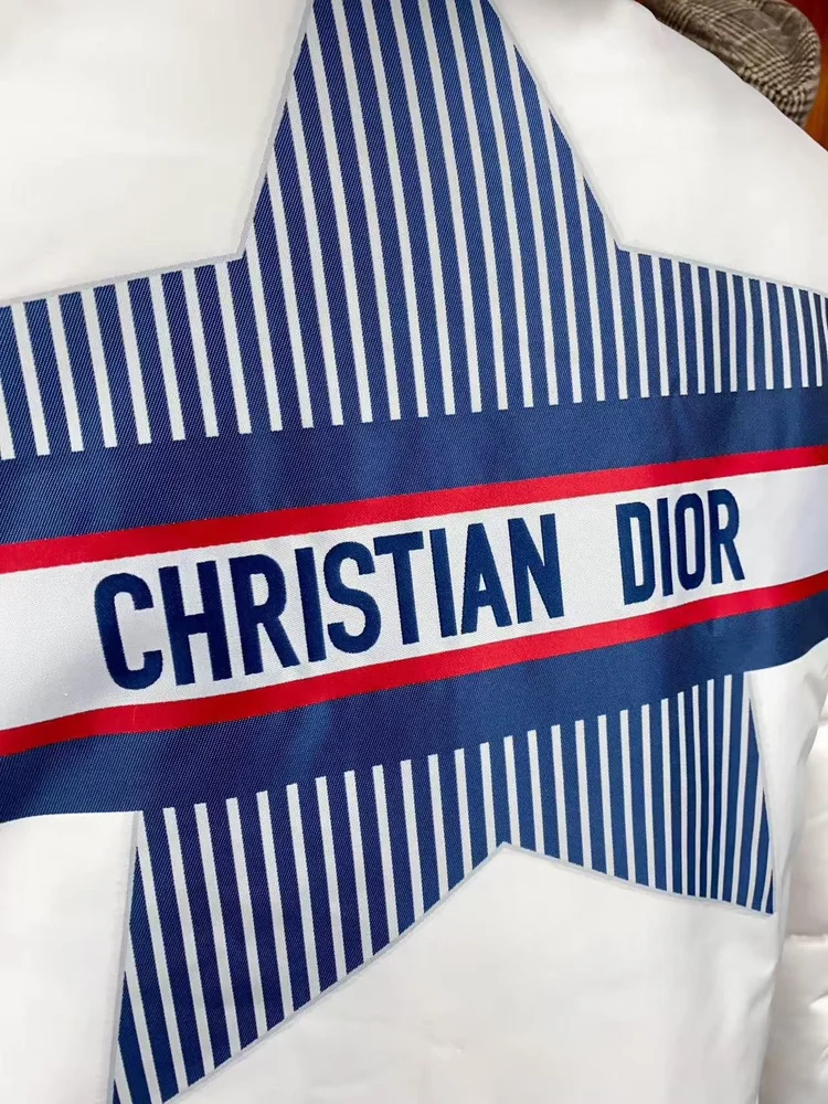 dior alps hooded jacket