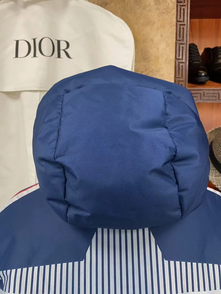 dior alps hooded jacket